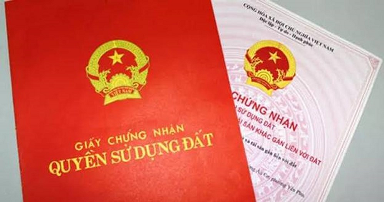 Xử phạt vi phạm hành chính đối với hành vi vi phạm quy định về giấy tờ, chứng từ trong việc sử dụng đất
