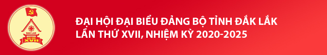 Đại hội đại biểu